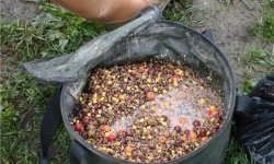 Прикормка для карпа своими руками: рецепты