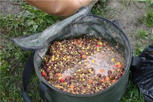 Прикормка для карпа своими руками: рецепты