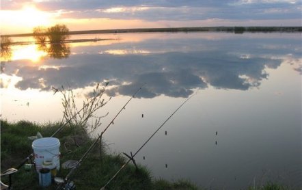 Донка на леща своими руками с берега: как ловить