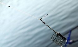 Как правильно привязать кормушку на фидер