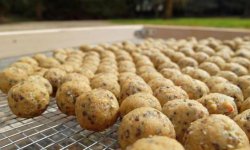 Как насаживать бойлы на крючок на карпа