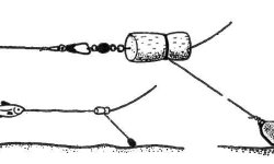 Донка на судака: оснастка с берега, как ловить судака