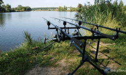 Платная рыбалка