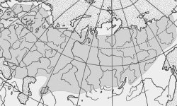 Ерш рыба: как выглядит, фото, википедия