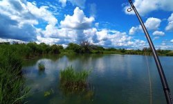 Рыбалка в Луганске: отчеты о рыбалке, прогноз клева