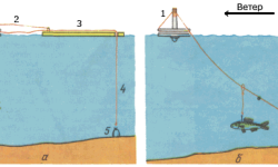 Как заякорить кружки для ловли щуки: оснастка, монтаж кружков, как правильно сделать