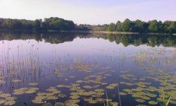 Рыбалка на щуку: на что лучше ловить щуку, где поймать, способы ловли, как ловят щуку