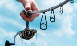 Спиннинг для щуки: как выбрать, лучший спининг