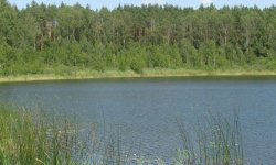 Рыбалка в Брянске: форум рыбаков Брянской области, фион 32, отчеты
