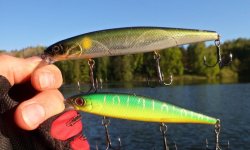 Воблеры на щуку: 10 лучших бюджетных, самые уловистые воблеры, топ воблеров