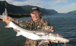 На что ловить осетра: на что клюет, как ловить, оснастка, прикормка