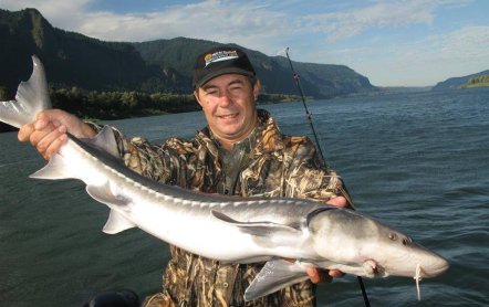 На что ловить осетра: на что клюет, как ловить, оснастка, прикормка