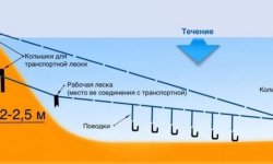 Донка на щуку: оснастка с берега