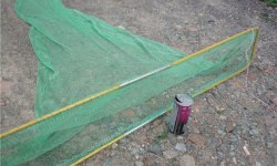 Как насаживать креветку на крючок