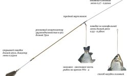 Ловля налима зимой: зимняя рыбалка, видео