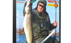 Джерки на щуку: как ловить, видео