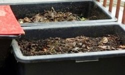 Как сохранить червей для рыбалки на зиму