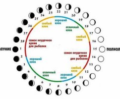 Стоит ли ехать завтра на рыбалку: календарь, прогноз клева, активность рыбы