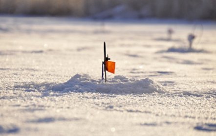 Зимняя рыбалка на щуку: на что лучше ловить