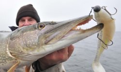 Виброхвост на щуку: 10 лучших, монтаж