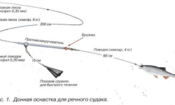 Снасти для ловли судака