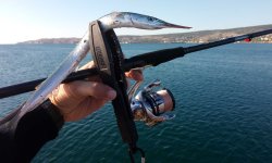 Отчеты о рыбалке