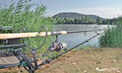 Фидерное удилище: рейтинг, бюджетный фидер, как выбрать