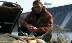 Ловля окуня осенью: на что клюет, блесна на окуня, лучшие приманки