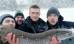 Блесна вертушка на щуку для рыбалки