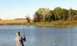 Рыбалка в кокино: платная рыбалка в Каширском районе