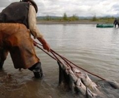 Кастинговая сеть: разрешена или нет в России, штраф