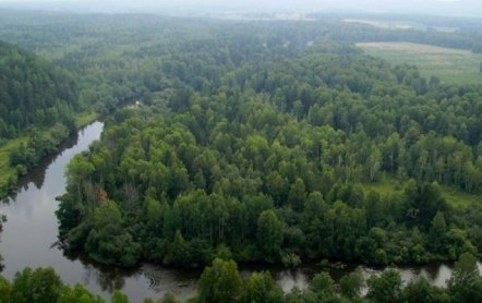 Рыбалка в Нижнем Тагиле и его окрестностях: форум рыбаков, прогноз клева