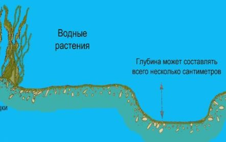 Ловля карпа в сентябре: на что ловить, прикормка, как ловить