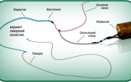 Лещ в октябре: ловится ли на кольцо, как ловить
