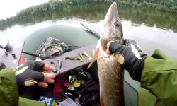 Рыбалка в Рязани: форум, платная рыбалка