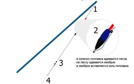 На что клюет линь: рыбалка на линя