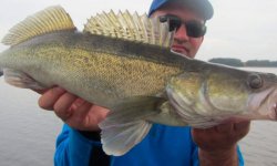 Воблеры на судака: лучшие воблеры, топ 10 воблеров