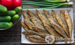 Ряпушка рыба: википедия, где водится, фото