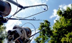 Калининградский рыболовный клуб: форум, кенингфишинг, отчеты о рыбалке