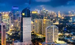 Какие уникальные животные живут в Индонезии