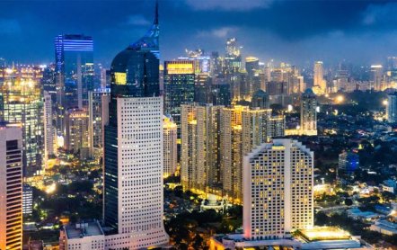 Какие уникальные животные живут в Индонезии