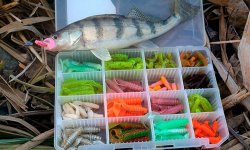 Лучшие силиконовые приманки на судака: твистер на судака, виброхвост