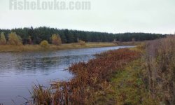 Ловля окуня на джиг осенью: техника и тактика