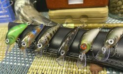 Воблеры на форель: 10 лучших