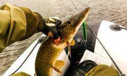 Спиннинг для твичинга: лучшие спининги