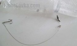 Ловля щуки на бутылку: как ловить