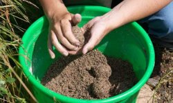 Прикормка для рыбы своими руками: рецепты