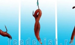 Как правильно насаживать червя на крючок