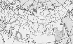 Толстолобик рыба: фото, википедия, описание, как выглядит