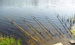 Оптимальная длина удочки для ловли с берега: как выбрать удочку